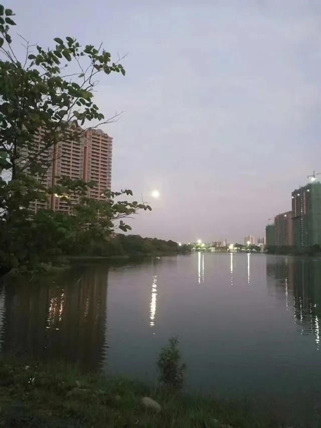 ����һ��������� ����һ��������