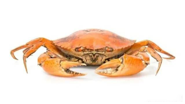 网上螃蟹女是什么意思 腿多会劈腿钳子会抓钱