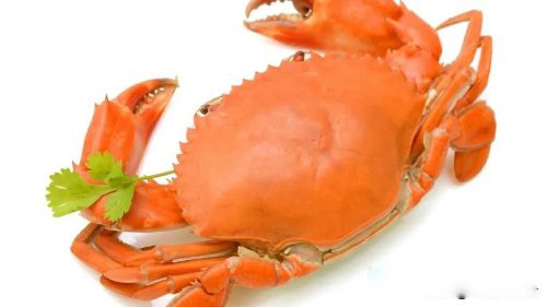 网上螃蟹女是什么意思 腿多会劈腿钳子会抓钱