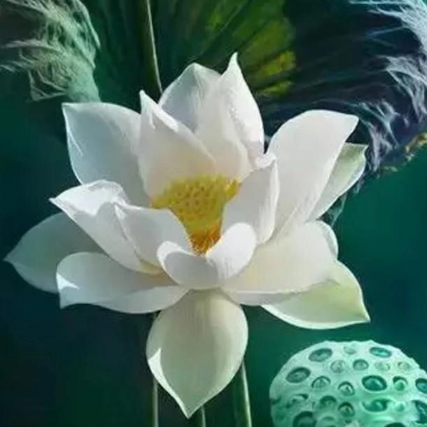 ���˺�һ��ʲô��˼ ���˺�һ��˭����Ĺ۵�