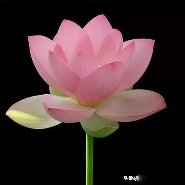 人到中年的精辟感悟 感到人这一辈子活的太难了