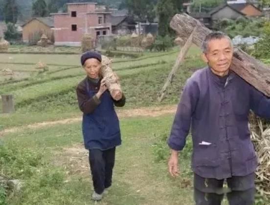 人到中年的精辟感悟 感到人这一辈子活的太难了