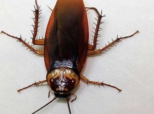 �����ô������ɾ����׵ķ��� ע�ⲻ����С�����