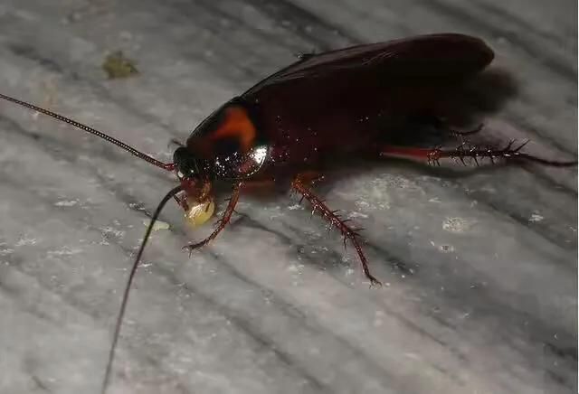 �����ô������ɾ����׵ķ��� ע�ⲻ����С�����