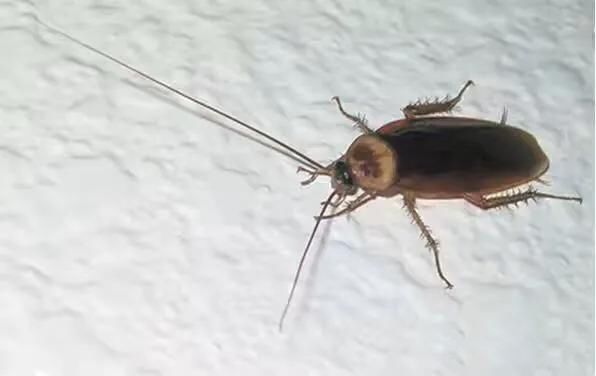 �����ô������ɾ����׵ķ��� ע�ⲻ����С�����