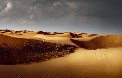 ���粻�����Źص�������˭ ���粻�����Ź�,Ǽ�Ѻ���Թ��������˼