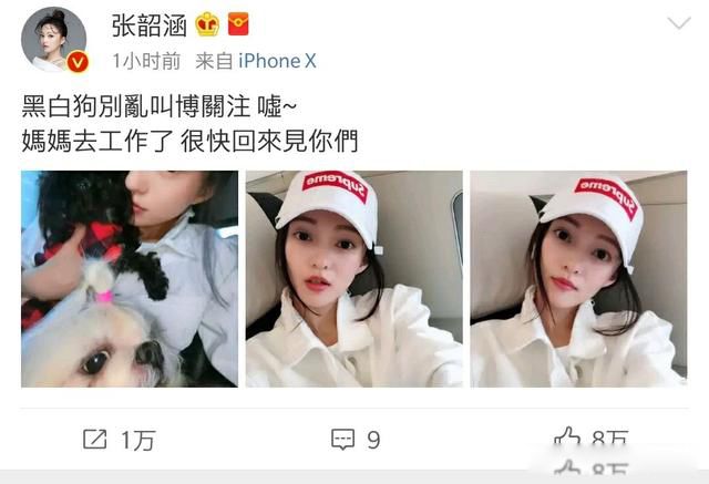 ����������Ϊʲô���� ֻ�������ֲ���ʵ��