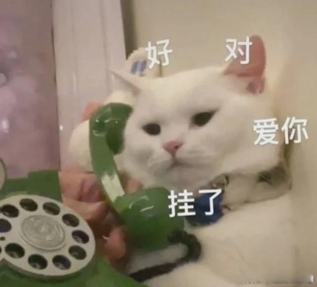 不经他人苦,莫劝他人善,你若经我苦,未必有我善 伪善的人越来越多