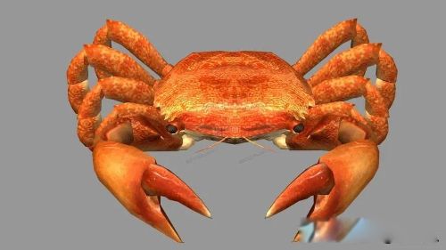 �зŮ��ʲô��˼ ��ĸ�ϻ������ʲô�ص�