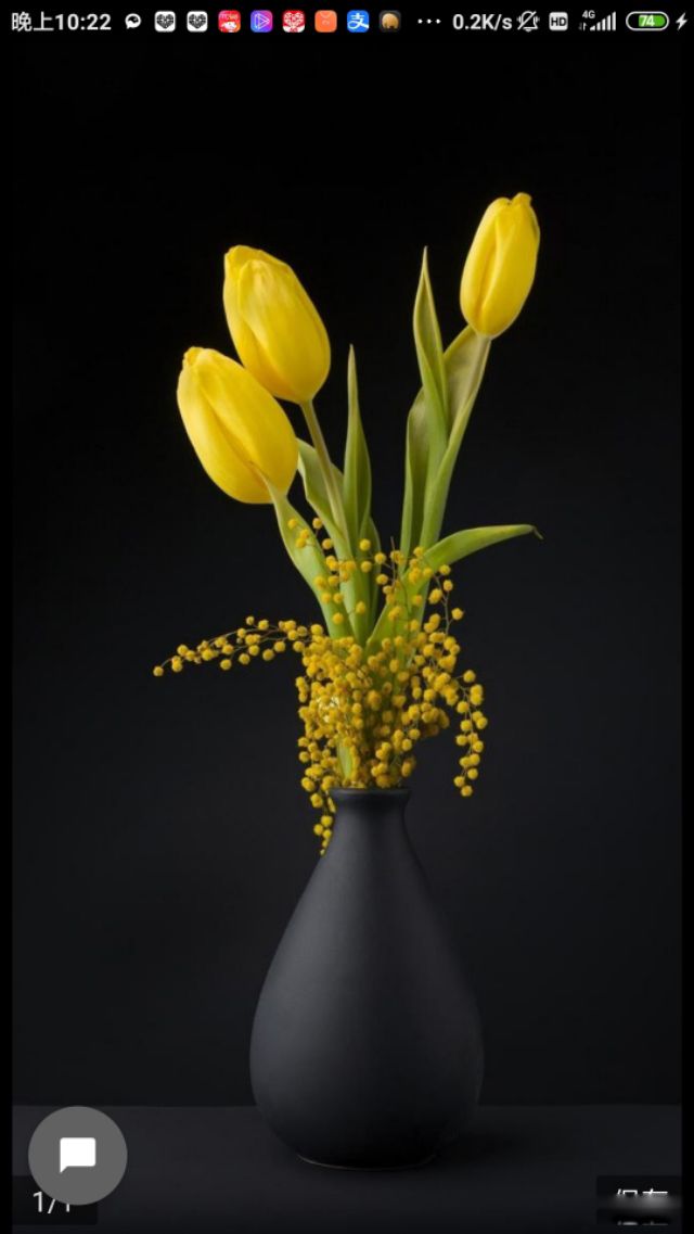 ��԰ŮȮ��ʲô �й�ŮȨ��ʼ�𽥻��η�չ