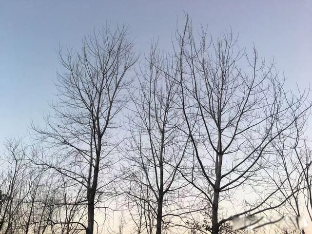火葬场上班真实经历 随时准备干活的抬尸工