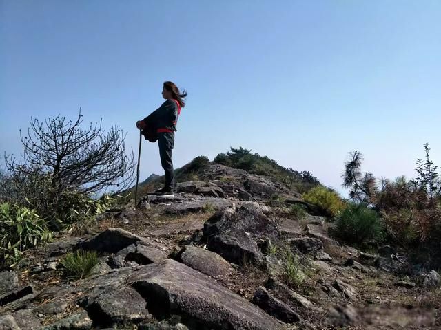 �㵴ɽ������� ̸һ���ҵĿ���