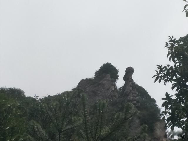 �㵴ɽ������� ̸һ���ҵĿ���