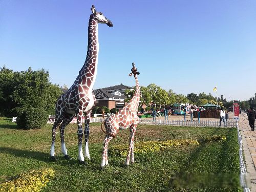 ���˲����Ļ������ֻ� ��ָ������˾��Եģ�����