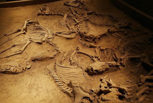 殉葬是什么时候开始的 不直接活埋陪葬者两点原因: