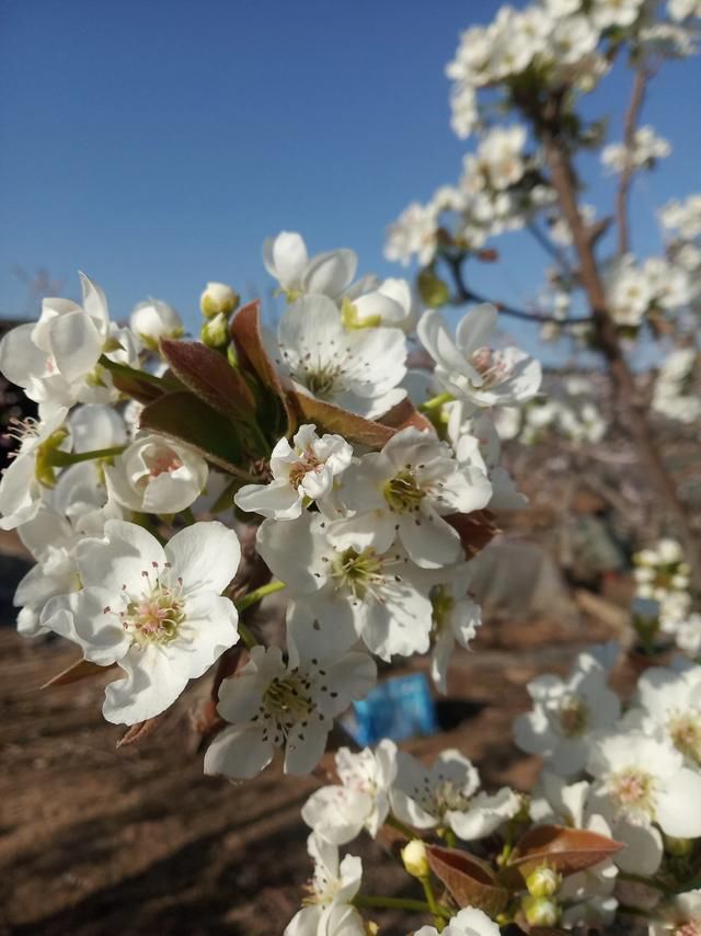 ������˶�ȥ���������� ��Ȼ�Ǳ��������᳧�ճɻ���