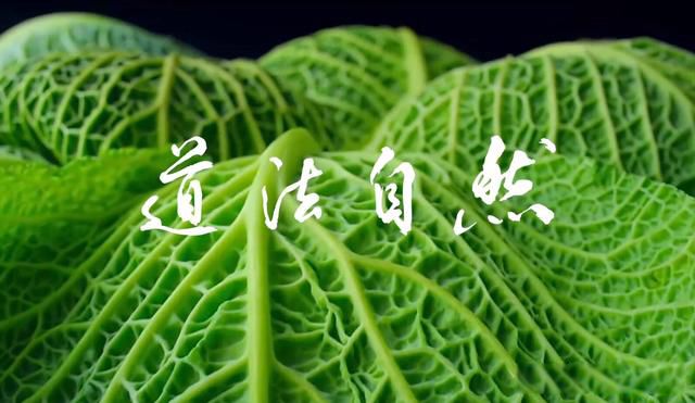 道可道非常道名可名非常名的意思 老子所说的道和名