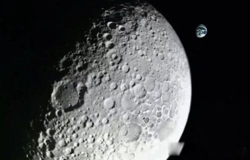 ���������� �ٹ����������