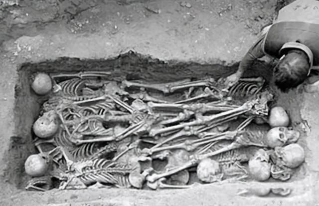 ��ѳ�ƶ���ʷ��չ ��ѳ�������صĳ�������ʱ��