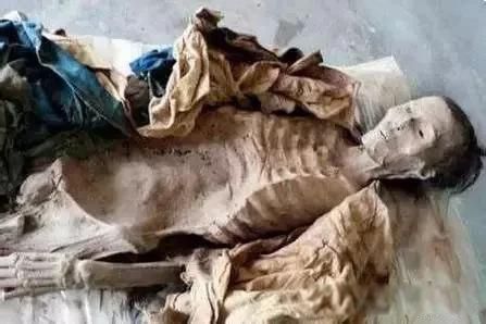 ��ѳ�ƶ���ʷ��չ ��ѳ�������صĳ�������ʱ��