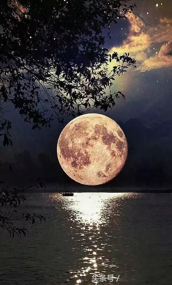 �˵�����ľ��ٸ��� һ�е����������չ��Ϊ��ƽ��