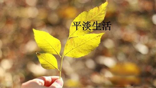 夜场女孩最终归宿 花姐曾经坠落风尘的故事