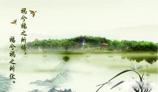 福兮祸之所依,祸兮福之所伏哲学原理 哲学唯物主义的辩证法