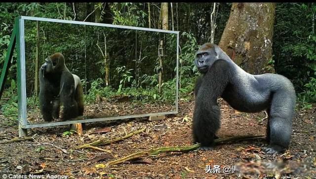 ��ѧ�ľ�ͷ����ѧ��˭����� ��չ��û�м��޵�