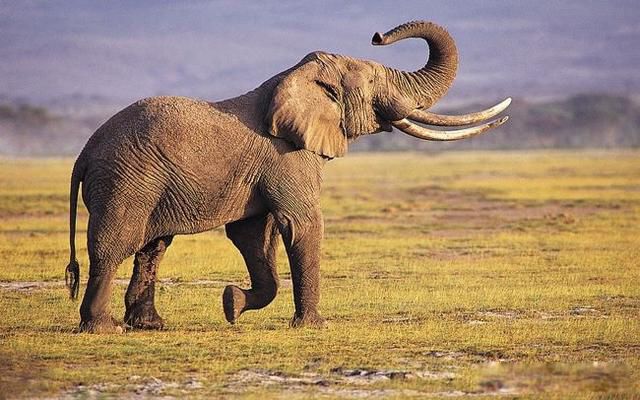 ��ѧ�ľ�ͷ����ѧ��˭����� ��չ��û�м��޵�