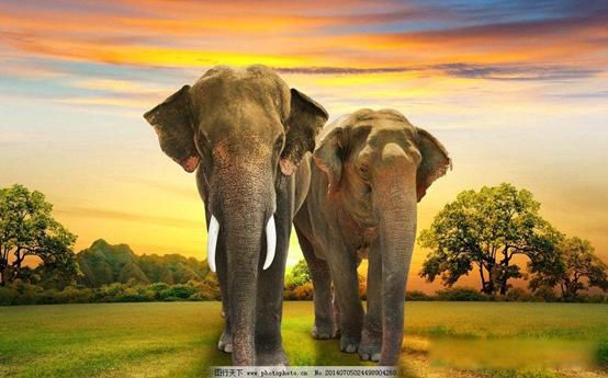 ��ѧ�ľ�ͷ����ѧ��˭����� ��չ��û�м��޵�