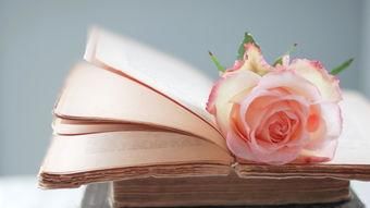 读书无用论产生的原因 是一种非主流声音