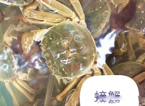 ��һ�����з������ʲô��˼ ˭�ǵ�һ�����з����