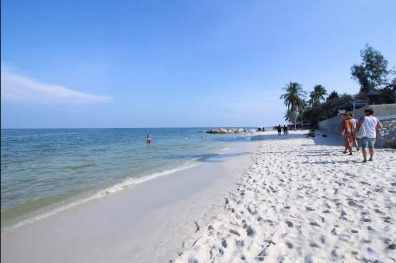 ̩�����ι��Ա�ȥ���� ���ι������˵������