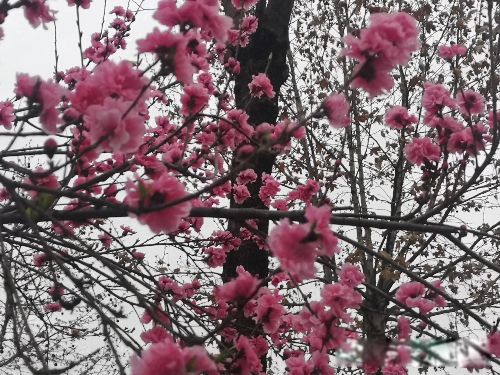 ����Ϊʲô��ȫ������Ҫԭ�� ���ĸ�������Խ��Խ��