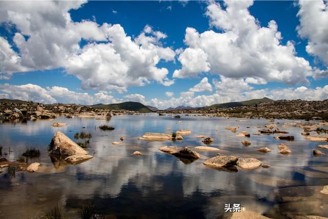 ȥ����ǰҪ��ʲô׼��Ԥ����ԭ��Ӧ ���Ķ�����