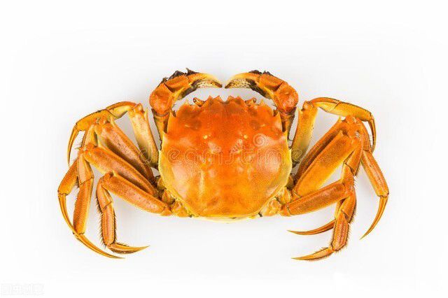 �зŮ�Ѿ���ʽȡ����԰Ů ��ʲô�ص�