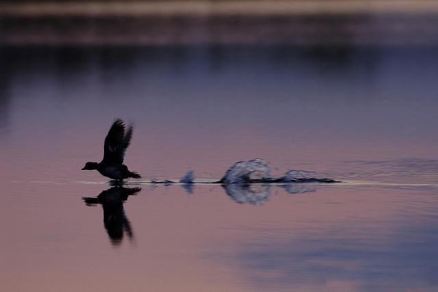人到中年,上有老下有小,只愿家人身体健康 理解了人生苦短