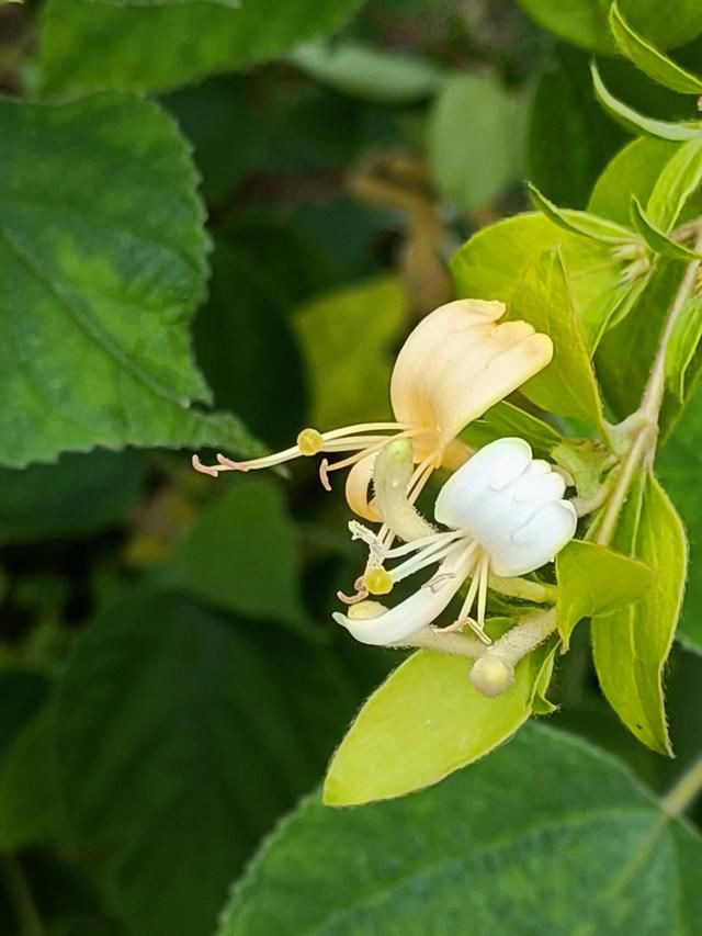 人到中年,上有老下有小,只愿家人身体健康 理解了人生苦短