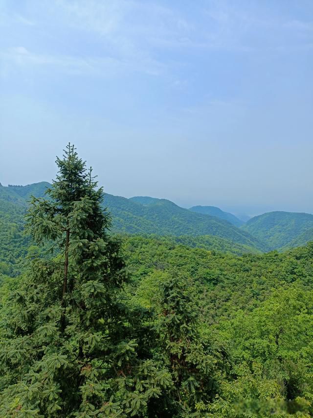 人到中年,上有老下有小,只愿家人身体健康 理解了人生苦短