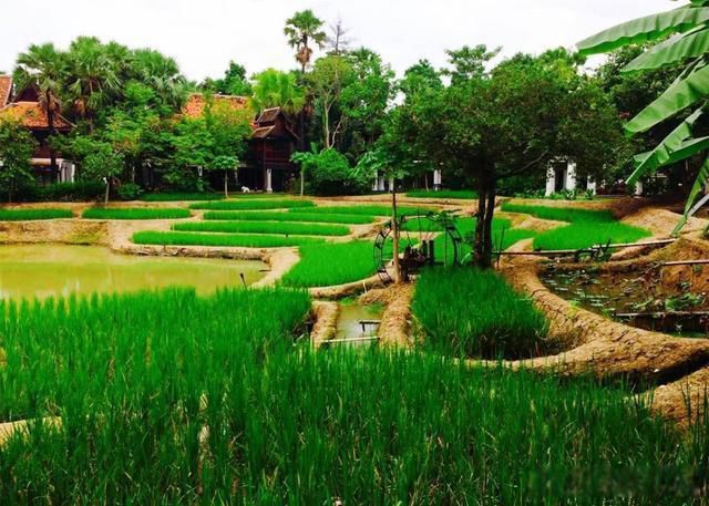 ̩����������ô�γ� �ܵ���˵������޺�