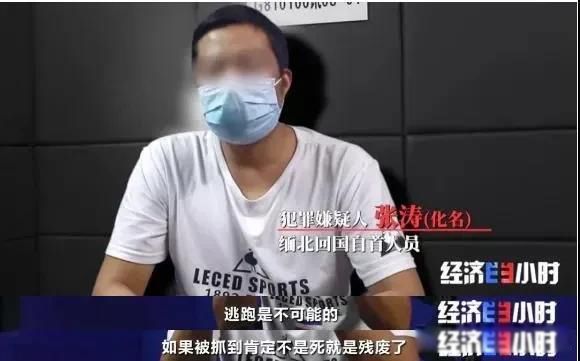 ��鱱��Ϊʲôû�˹� ��ʵ���山�����ж���