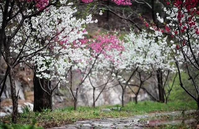 ���˺�һ��ʲô��˼ ��Ӧ���Ǵ�˵�о���