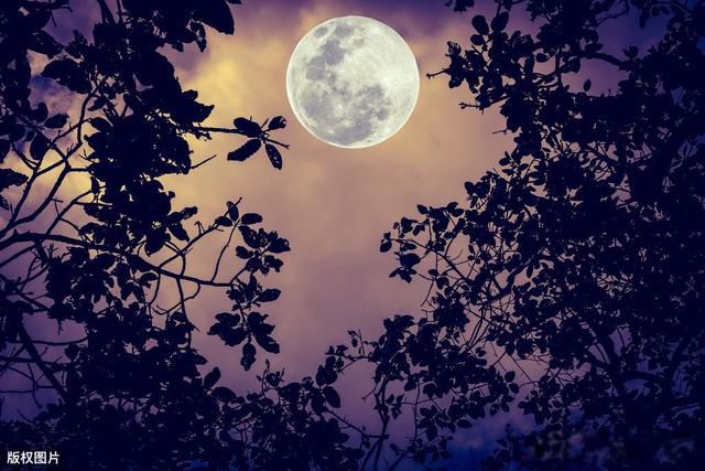 ���б������,��������Բȱ����˼ ����Ϊʲô������˵