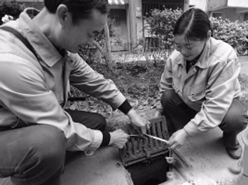 ������ô��������Ч�İ취 һֻè���԰���������������