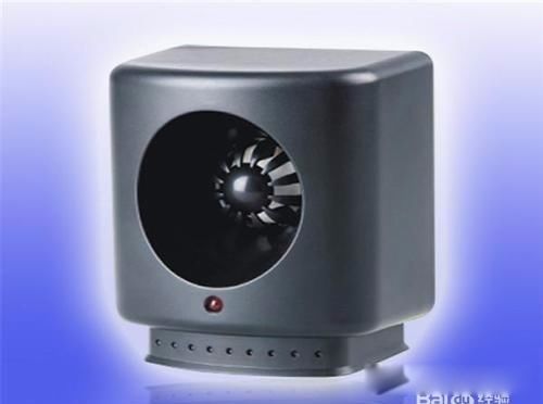 ������ô��������Ч�İ취 һֻè���԰���������������