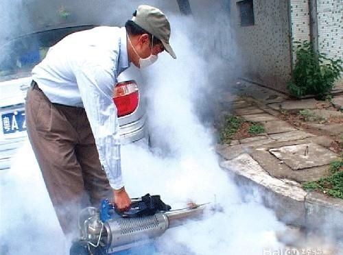 ������ô��������Ч�İ취 һֻè���԰���������������