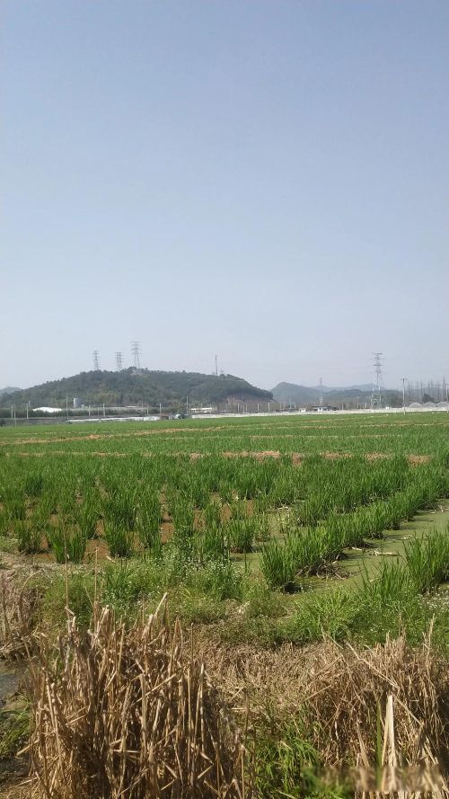 ����յ���ָʲô�������� ����ů����Ů��������¶��մ