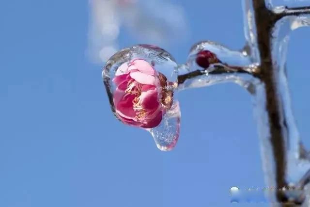 九江庐山的雪景怎么样 最好是挑冷空气南下的时候