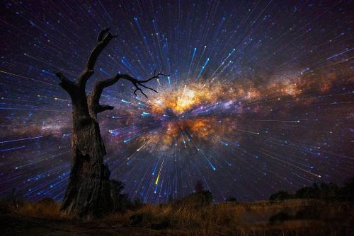 ͬ�����ǻ��������� ��ȡ��һ�㲻�Ǹ����Ŵ�����ĸ��