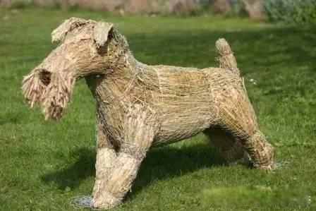 ��ز���������Ϊۻ��ʲô��˼ ����������ӵ�ԭ��